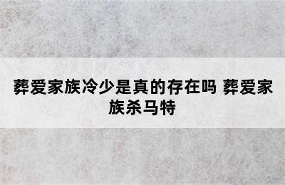 葬爱家族冷少是真的存在吗 葬爱家族杀马特